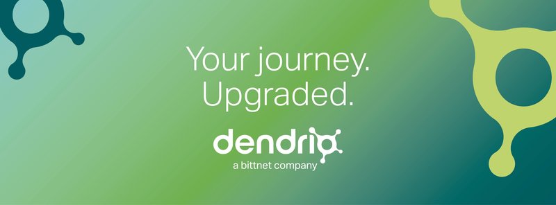 Dendrio Solutions - Servicii si consultanta IT