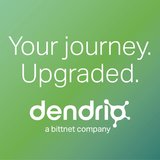 Dendrio Solutions - Servicii si consultanta IT